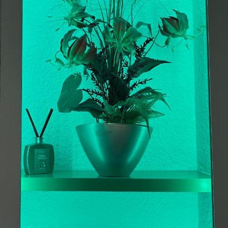 Hotel City Inn 马格德堡 外观 照片